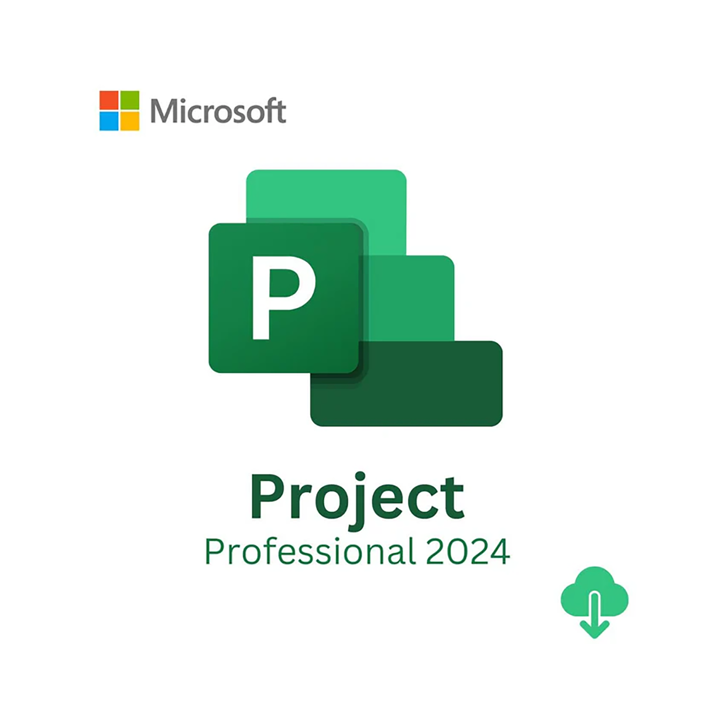 Microsoft Project Pro 2024 ESD Lifetime License - iDesign Communications