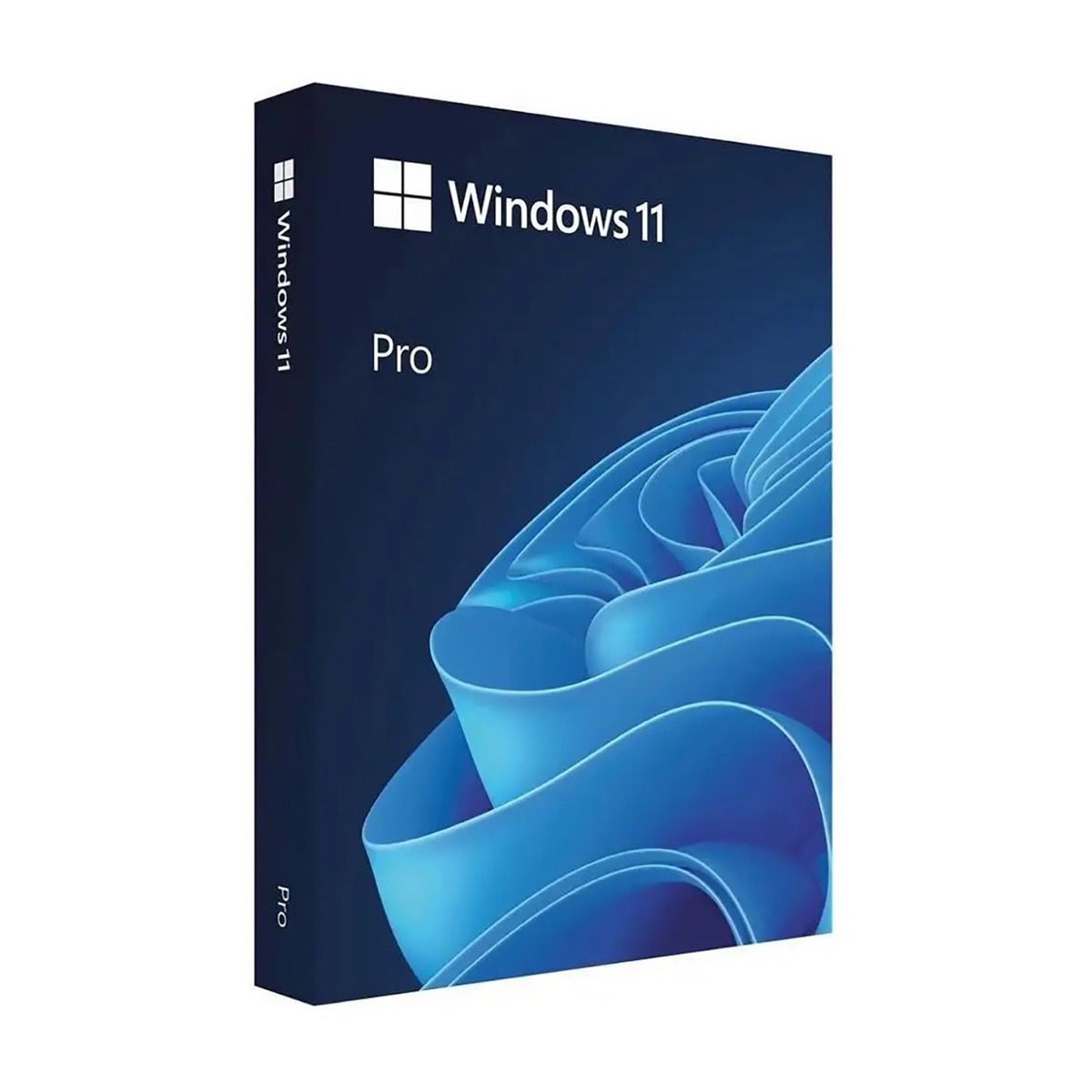 Microsoft Windows 11 Professional Single-User DVD License - iDesign Communications