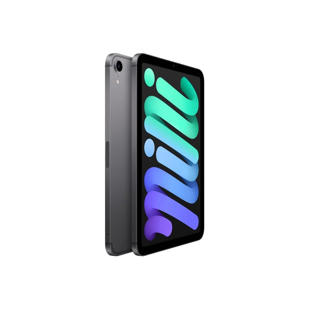 iPad mini 6th Gen Wi-Fi 64GB - Space Grey - iDesign Communications