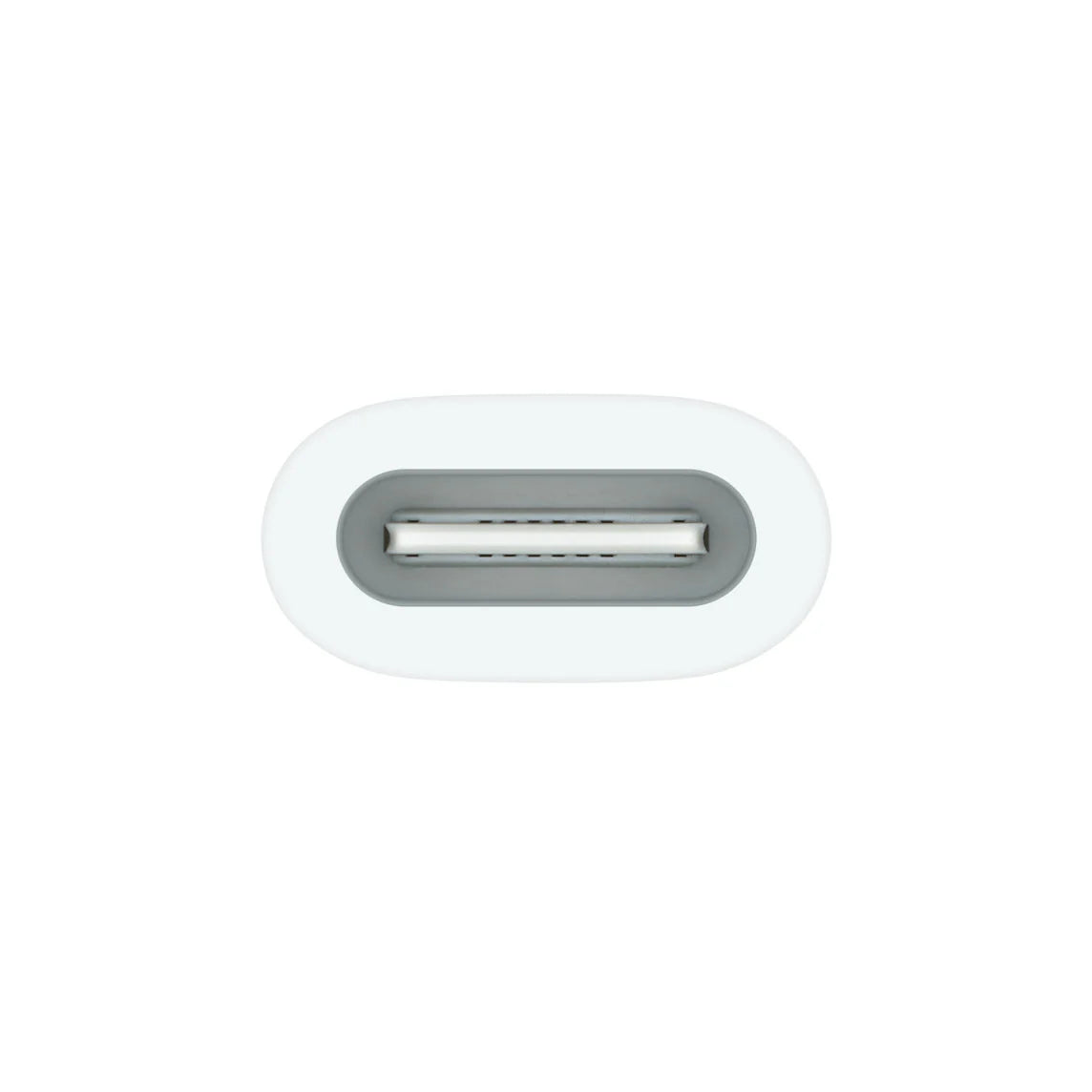 USB-C to Apple Pencil Adapter - iDesign Communications