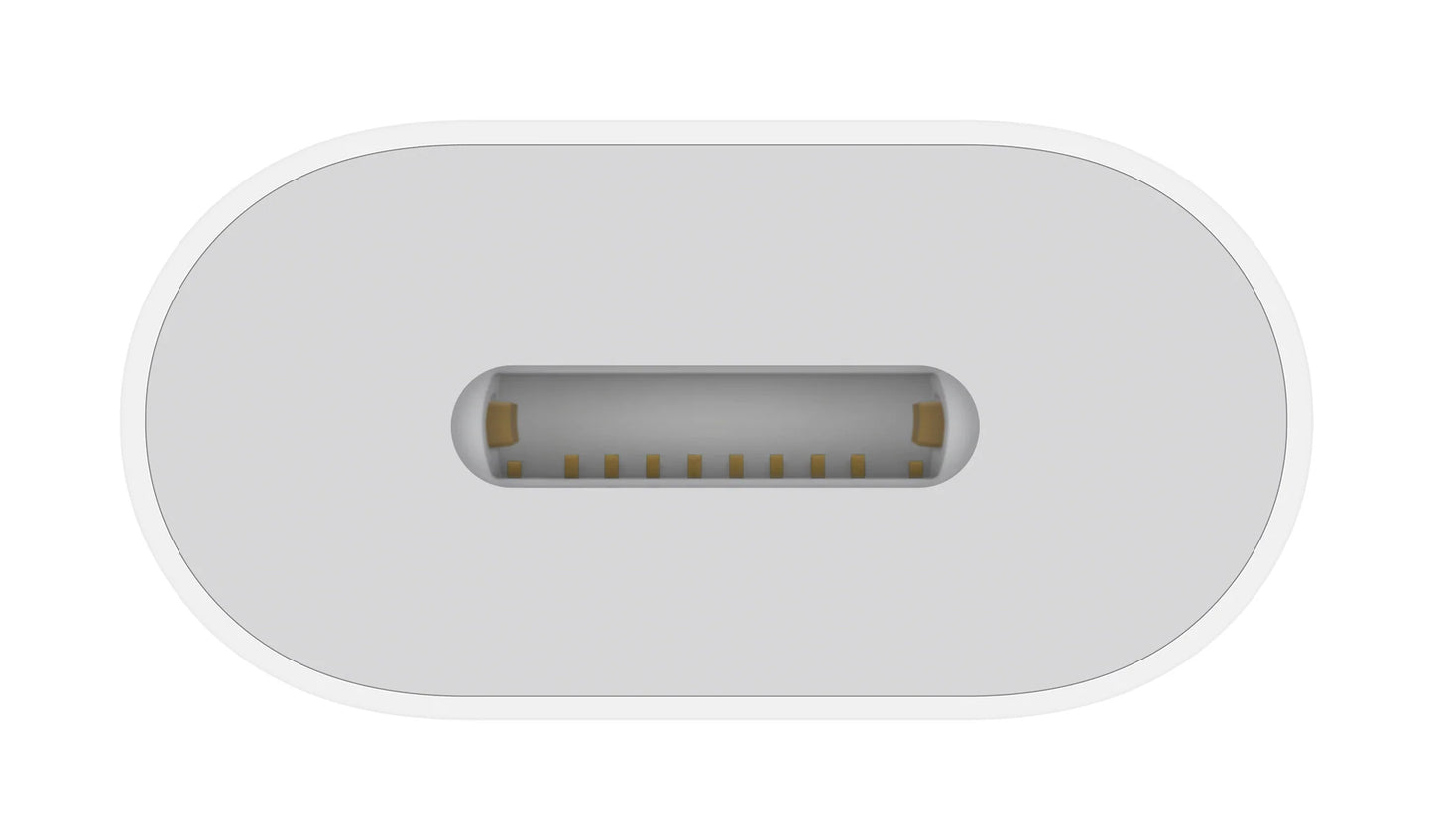 USB-C to Lightning Adapter - iDesign Communications